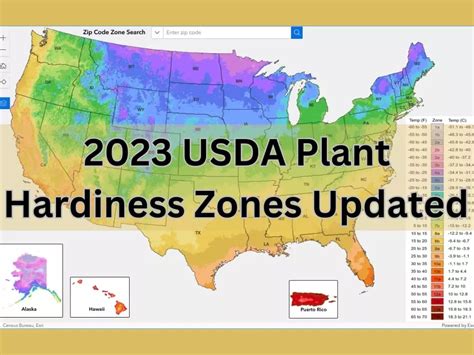 pdatezone|usda hardiness zone map 2023.